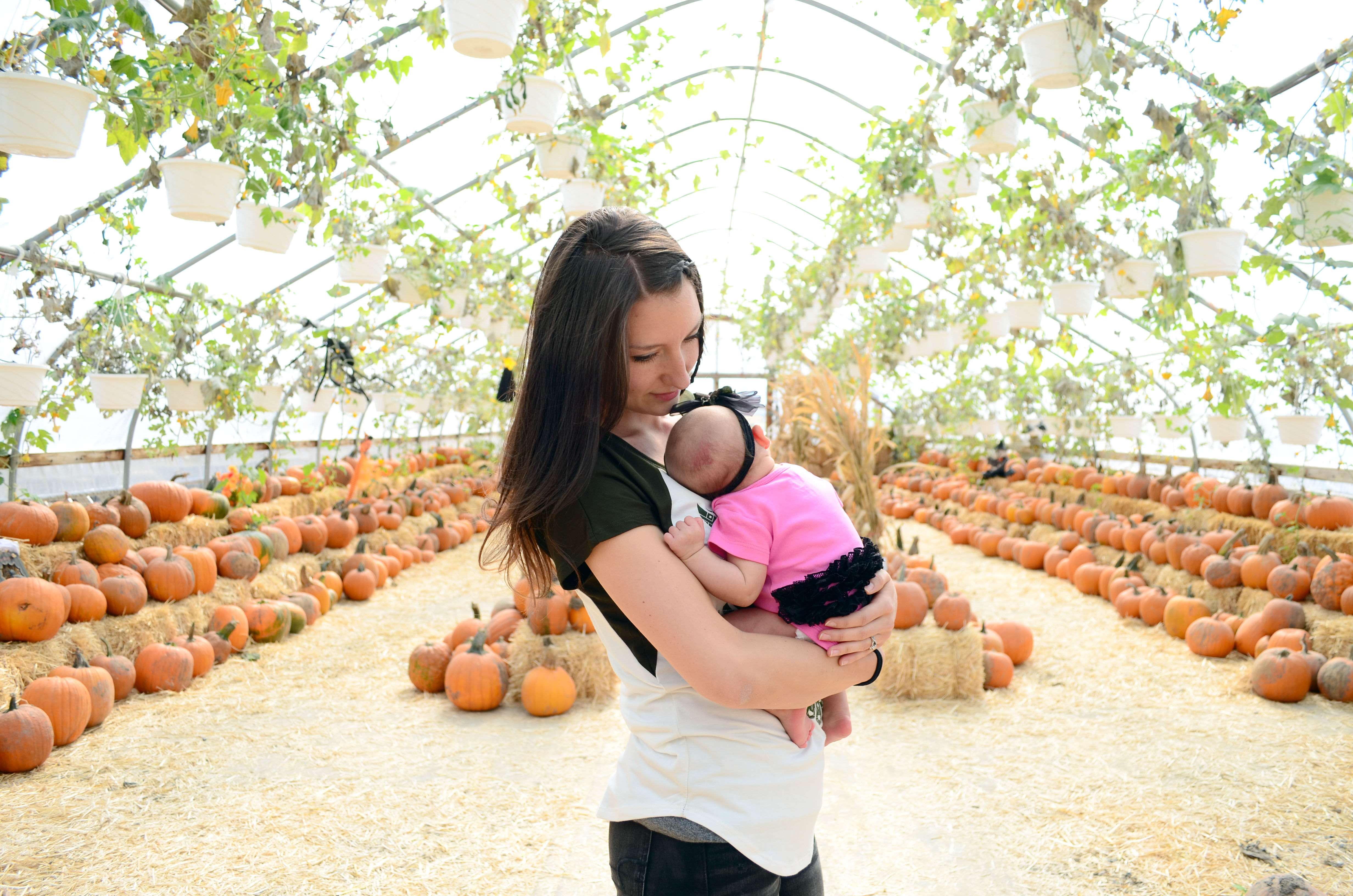 pumpkin earth yogi fall patch