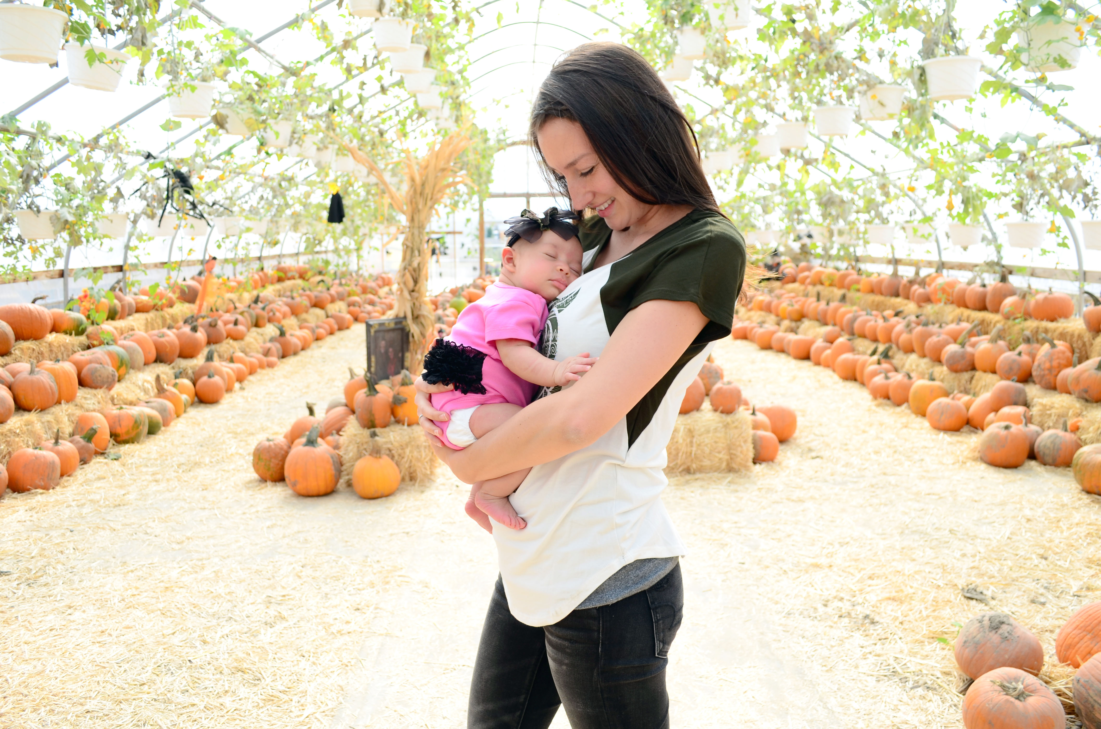 pumpkin earth yogi fall patch