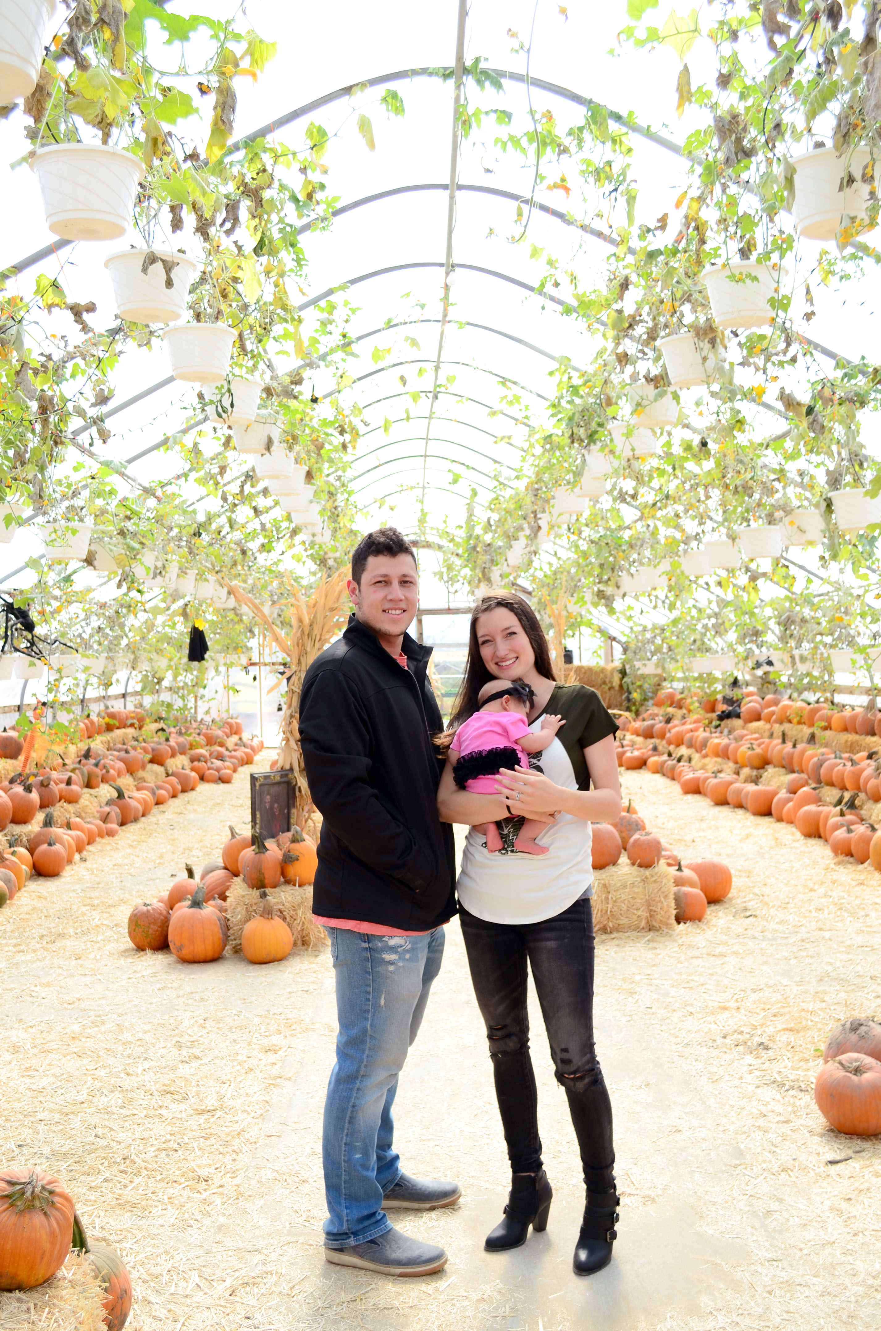 pumpkin earth yogi fall patch