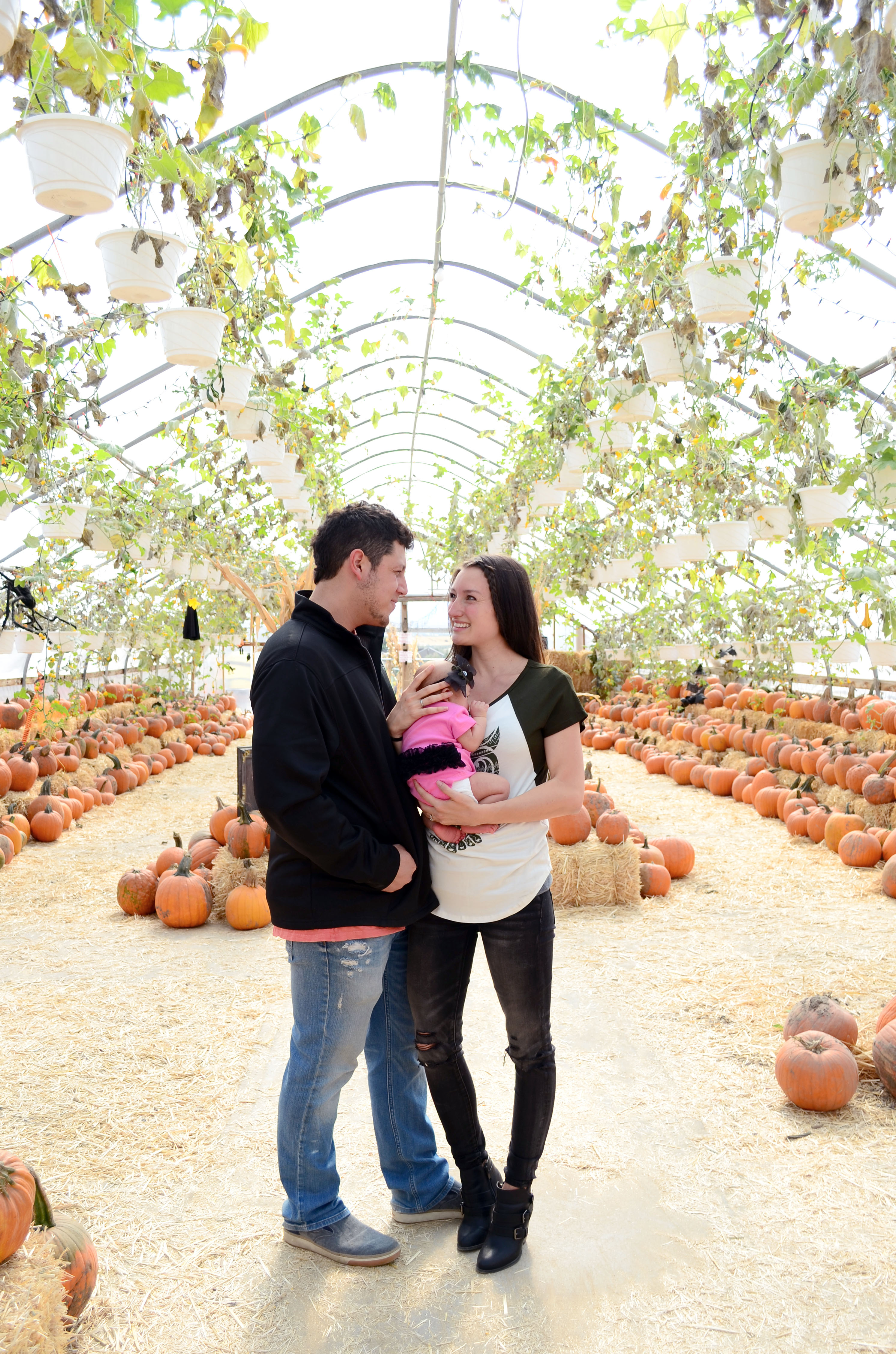 pumpkin earth yogi fall patch